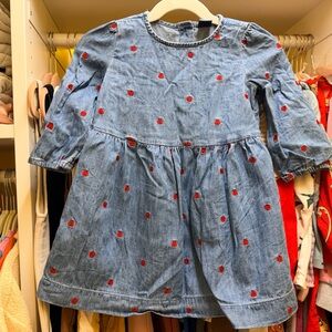 GAP Blue Denim Dress with Red Embroidered Hearts
